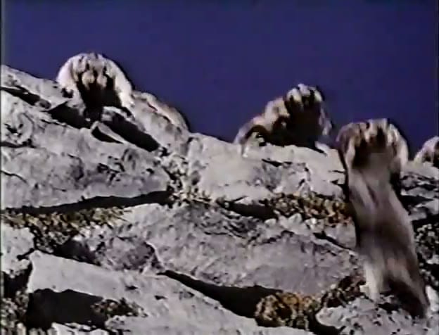 Lemmings at the edge of a rocky cliff against a deep blue sky in White Wilderness.
